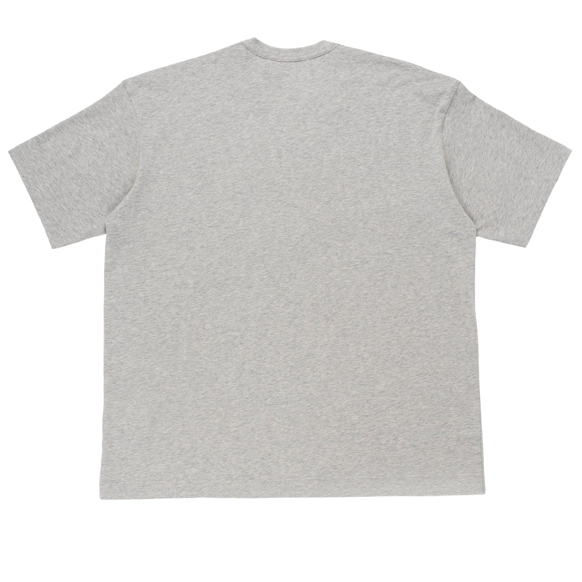 Comme Des Garcons SHIRT CDG SHIRT Lacoste Logo Tee FL-T008-W23 Grey