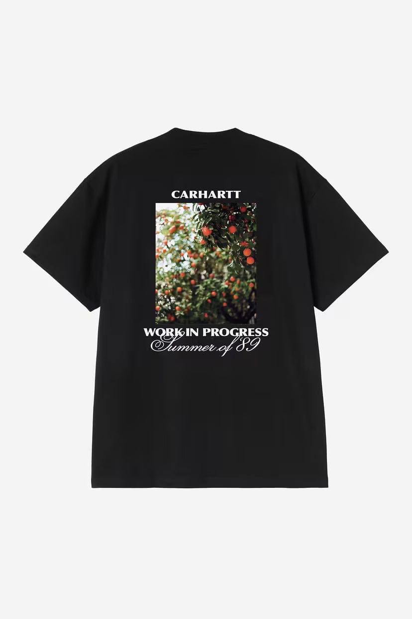 Carhartt WIP Warm Views T-Shirt - Black