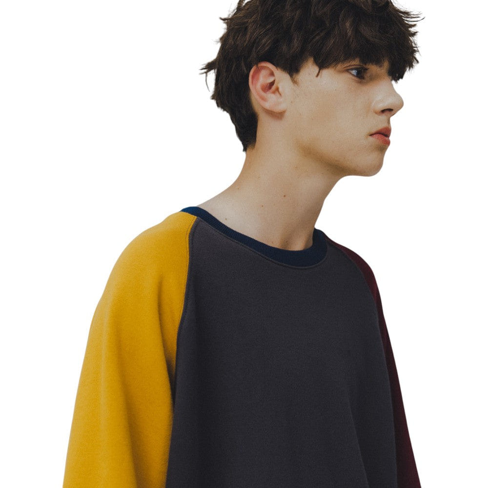 ANGLAN Palette Raglan Half Sweat Shirt