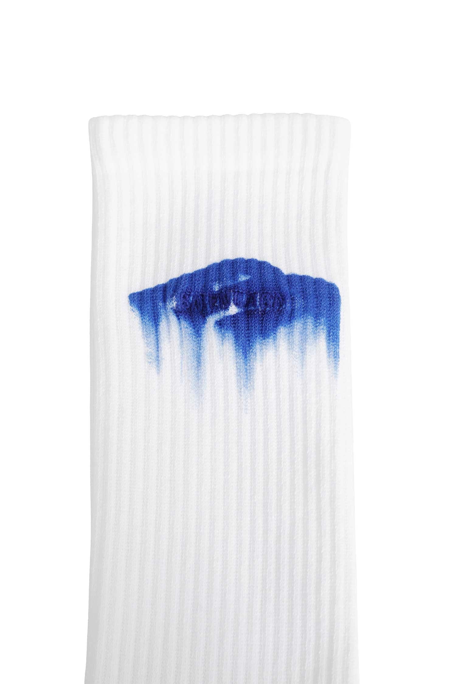 Balenciaga Wet Brush Socks