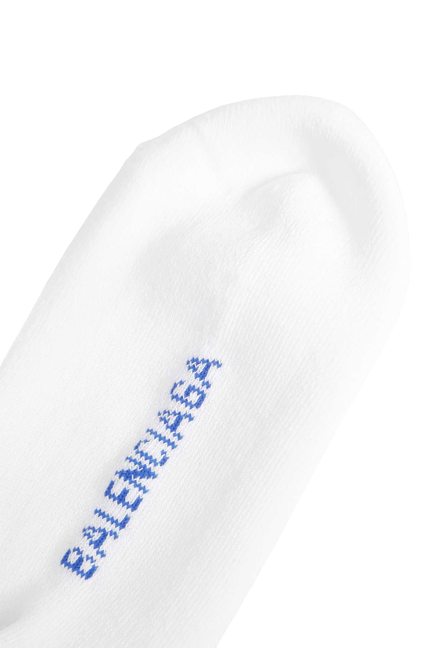 Balenciaga Wet Brush Socks