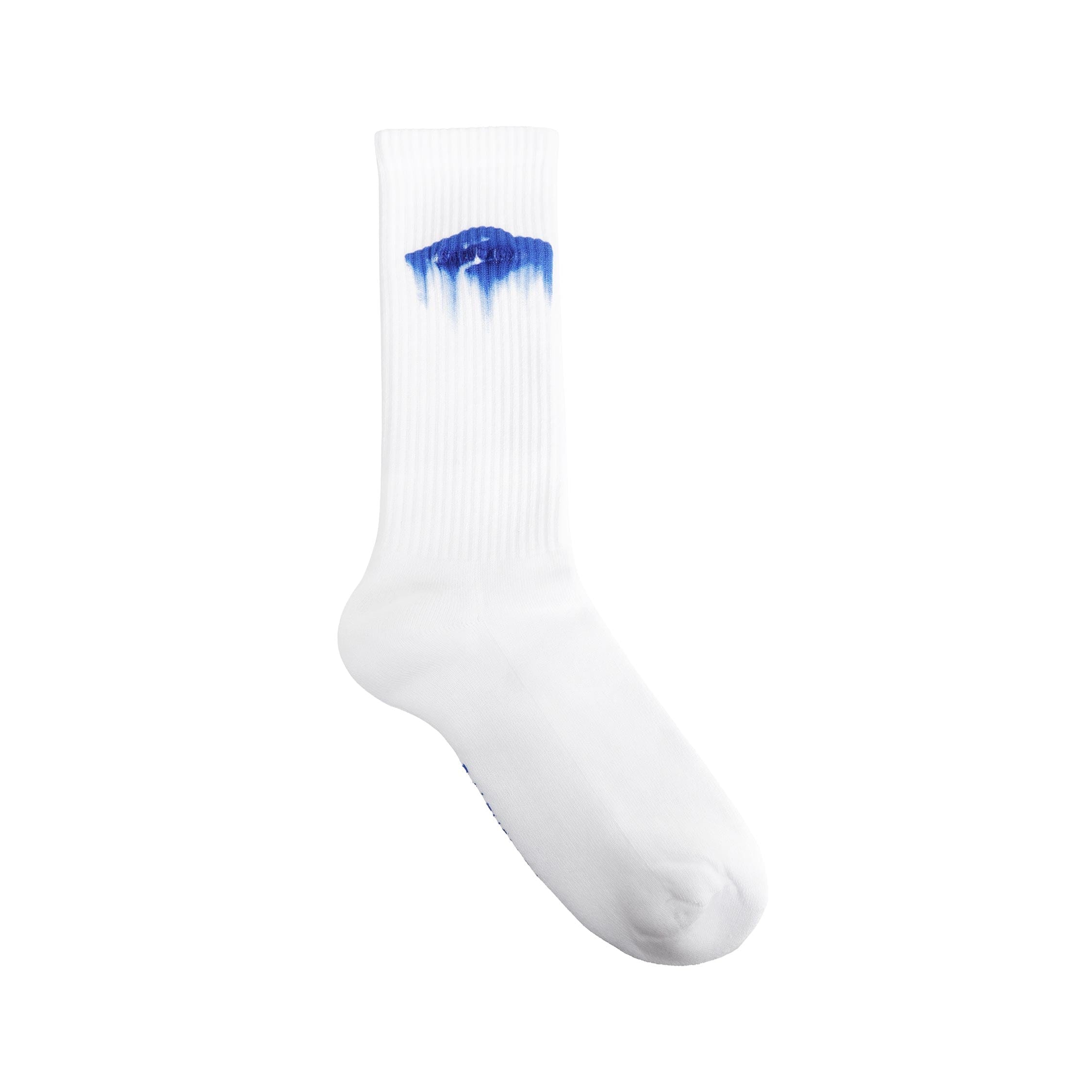 Balenciaga Wet Brush Socks