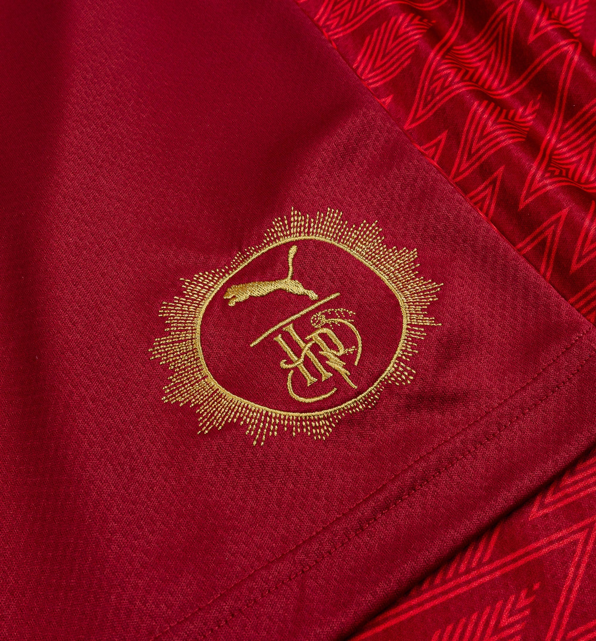 Puma Harry Potter Gryffindor Relaxed Mens Jersey - Dark Crimson