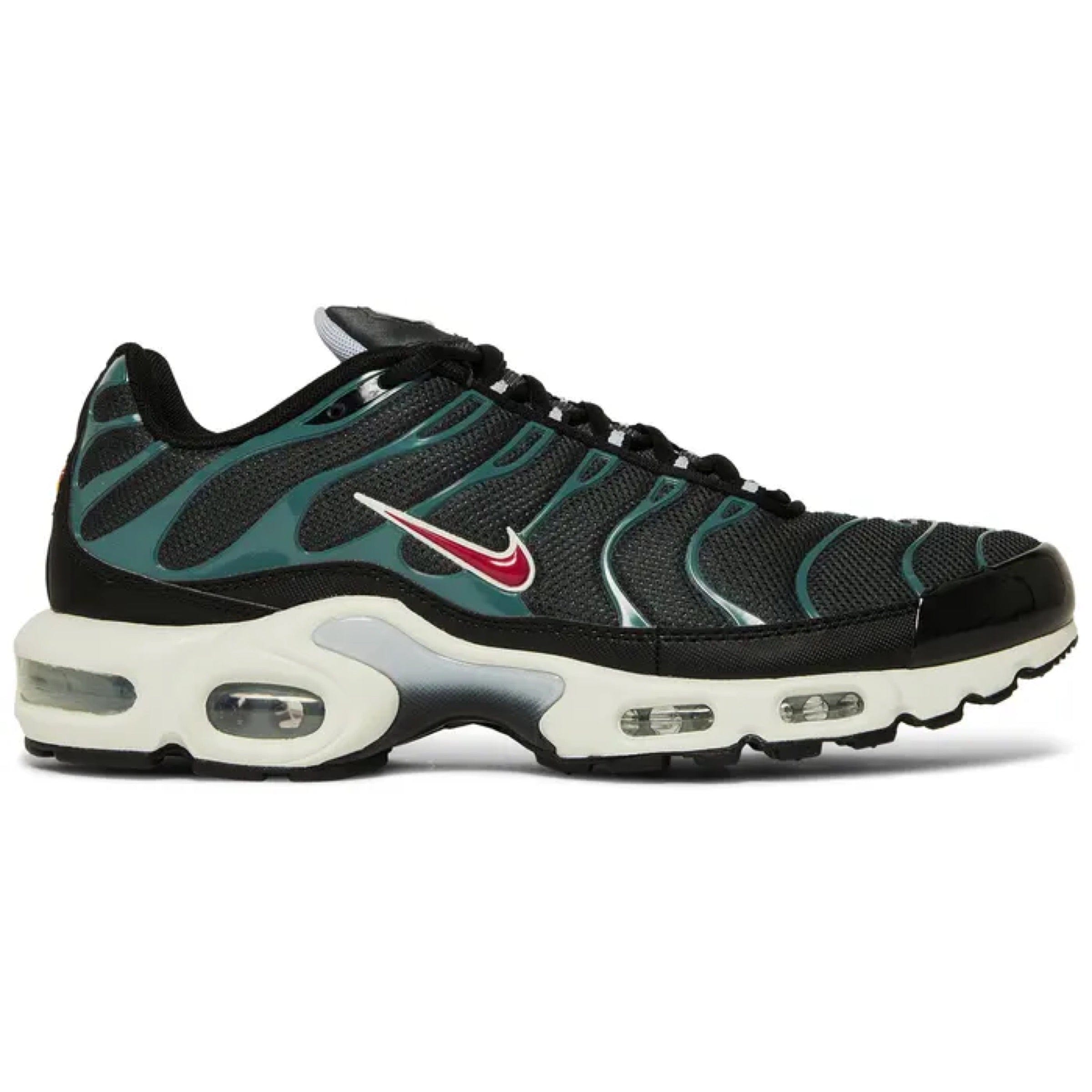 Nike Air Max Plus 'Anthracite Hasta'