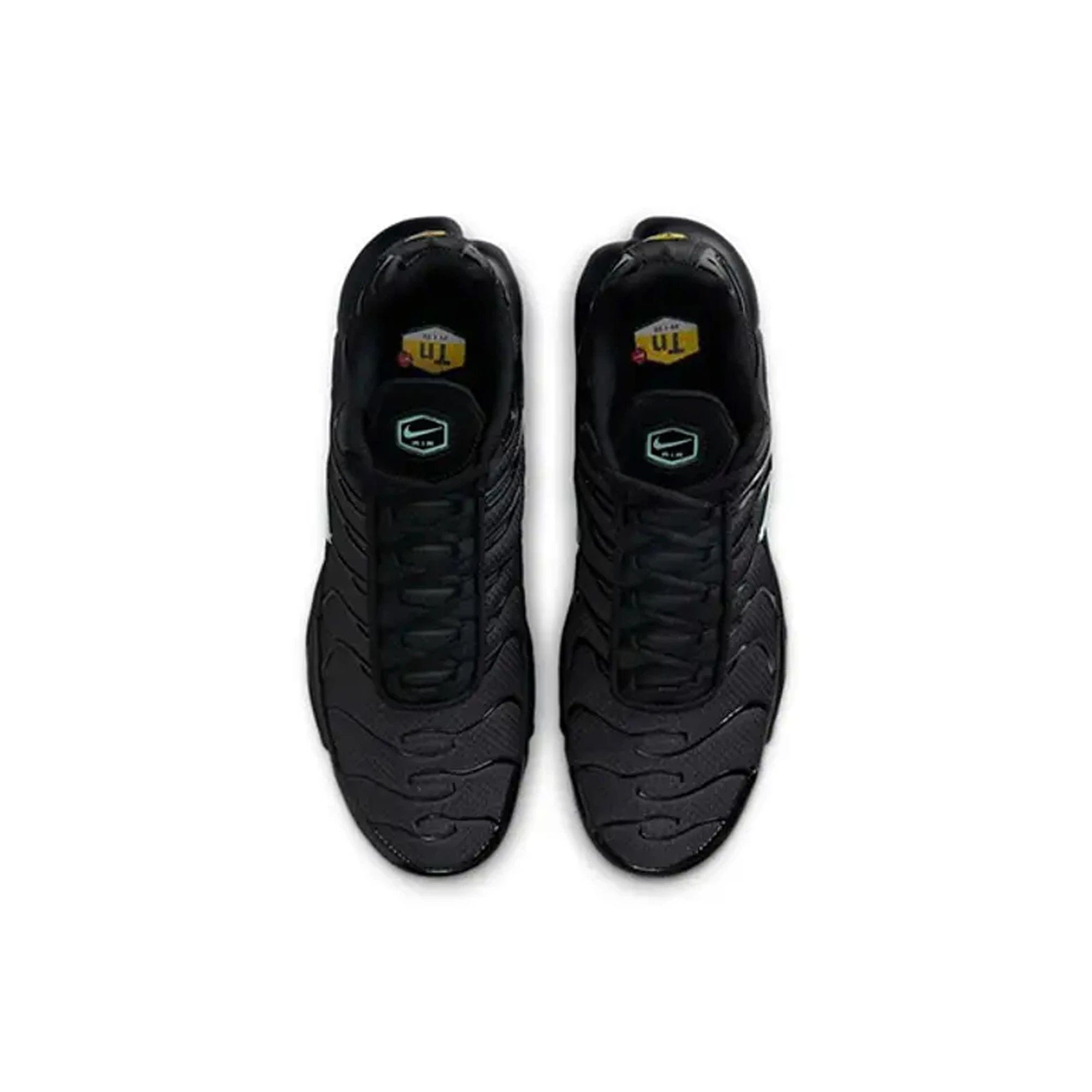 Nike Air Max Plus TN 'Black Mint Green' (2023)