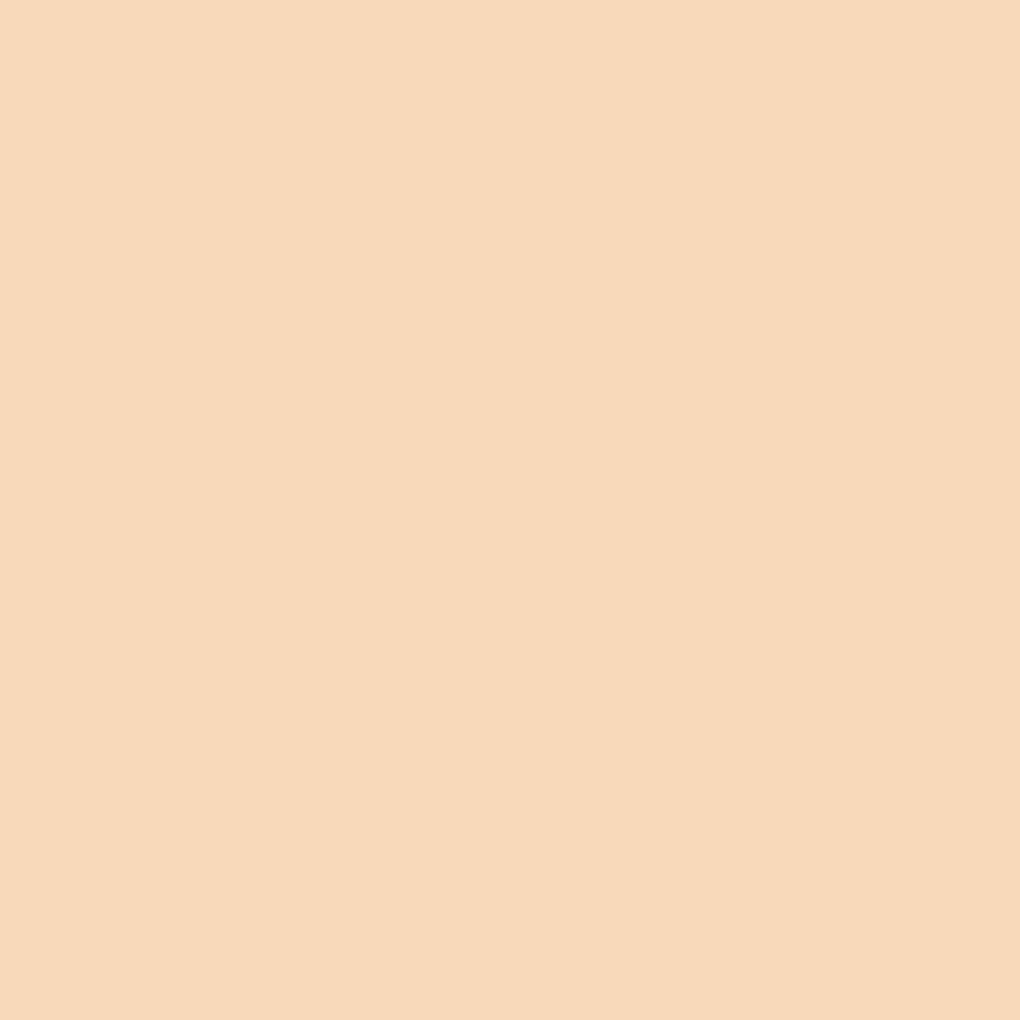By Terry Brightening CC Foundation