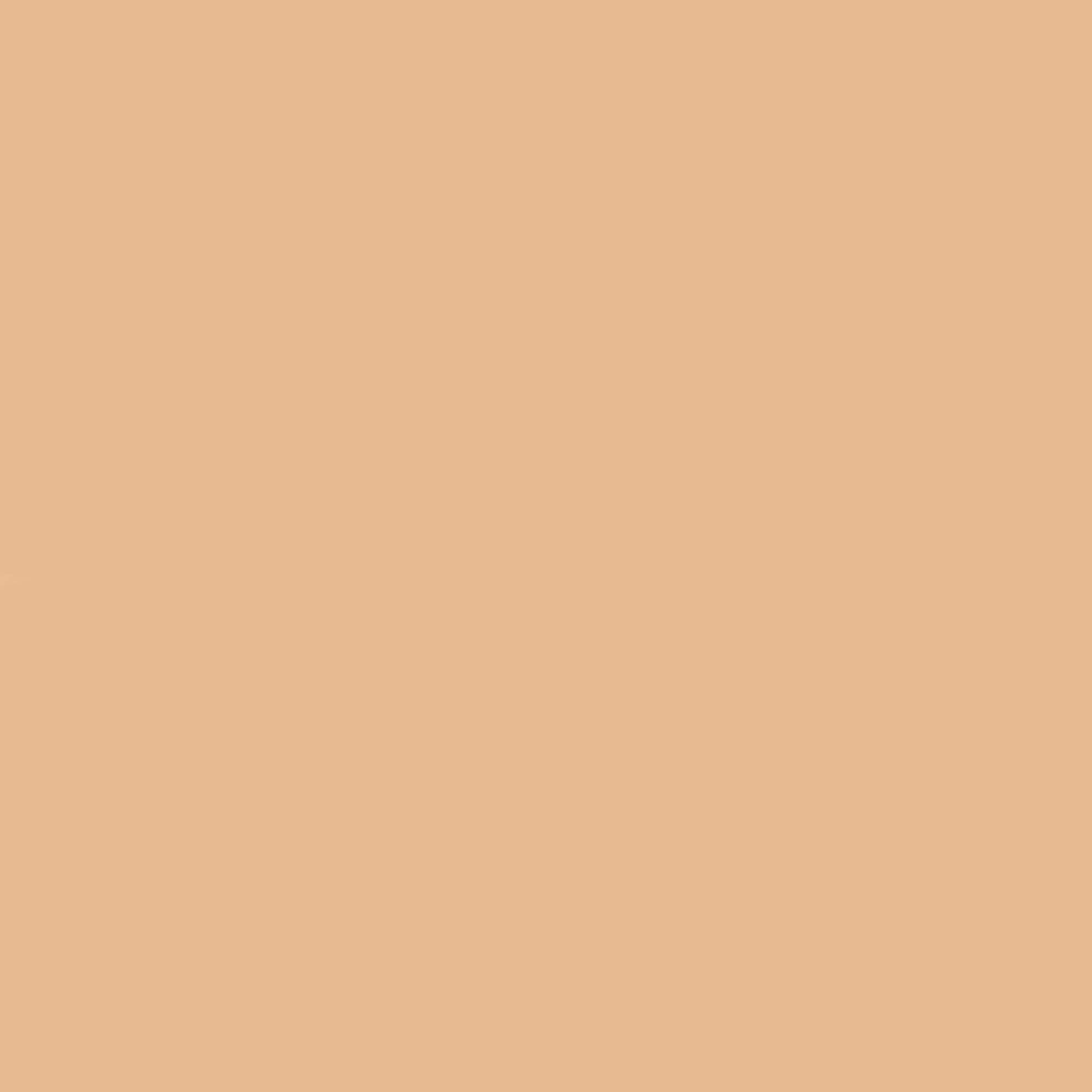 M.A.C Studio Radiance 24hr Luminous Lift Concealer