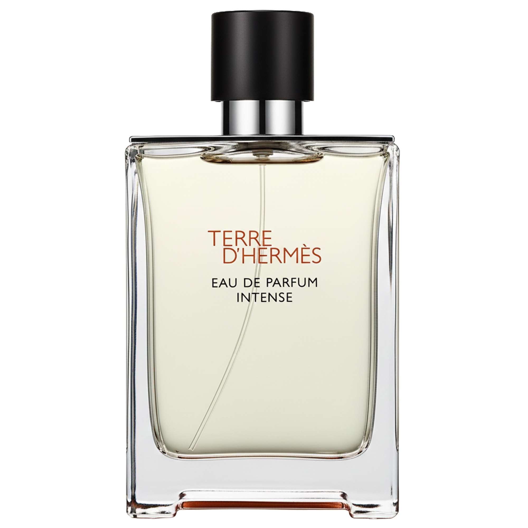 Hermès Terre d’Hermès Eau de Parfum Intense Spray 100ml