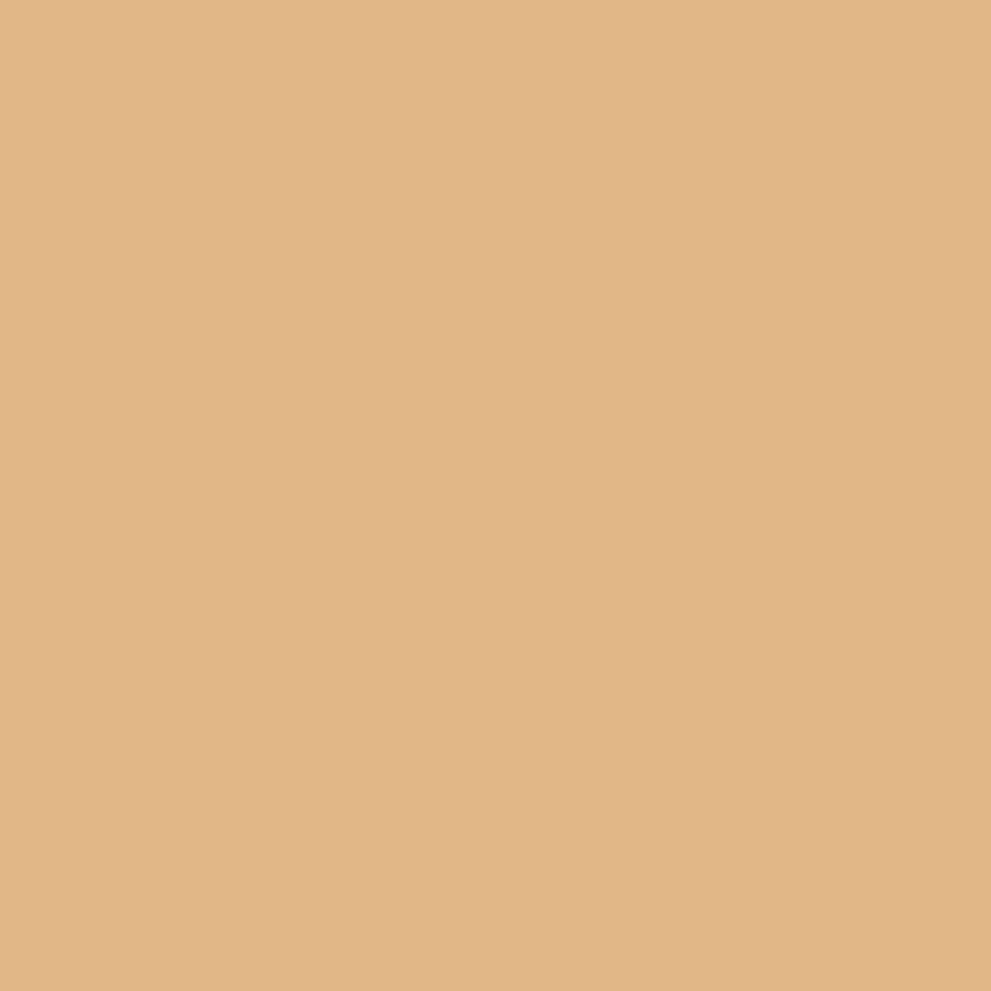 bareMinerals BAREPRO 16HR All Over Skin-Perfecting Matte Concealer SPF25