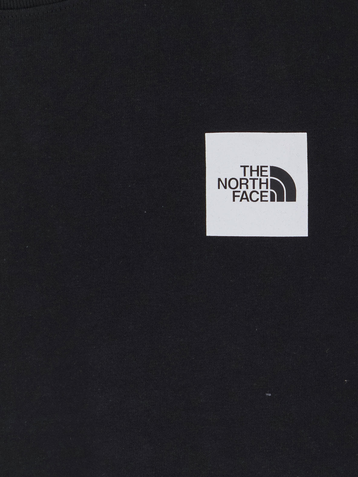The North Face Cotton T-shirt logo on the front