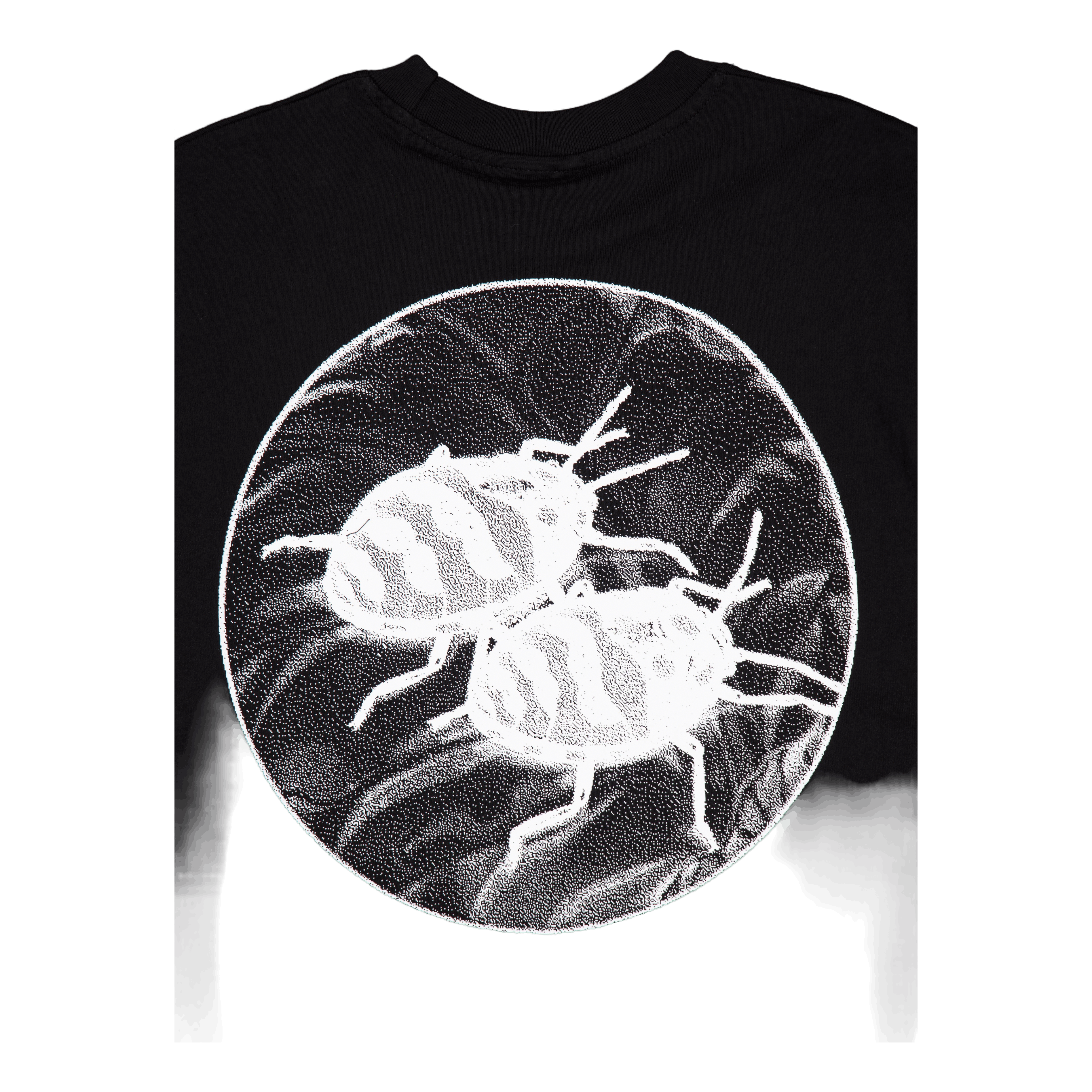 Butter Goods Nature Study Tee Black
