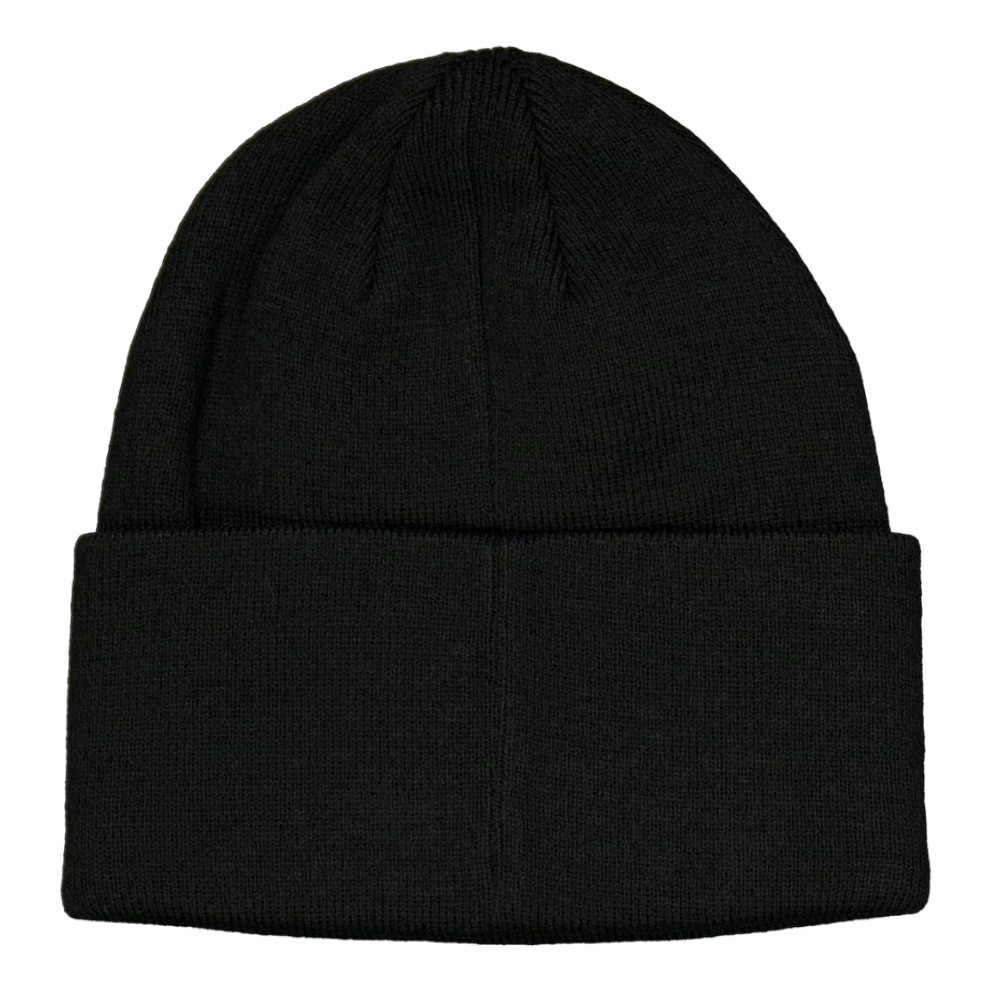 stan ray Fold Beanie Peat