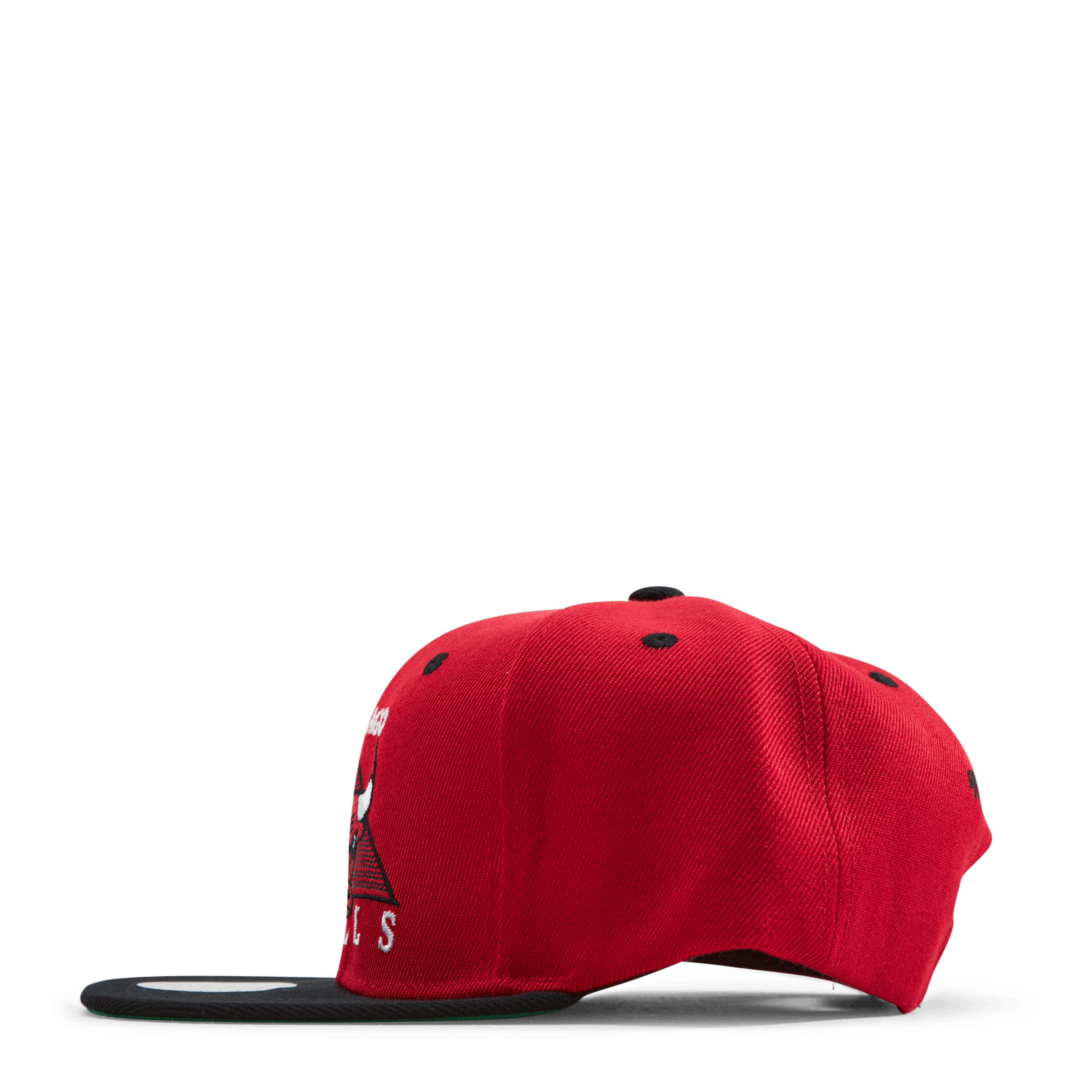 Mitchell & Ness Bulls Monument Snapback