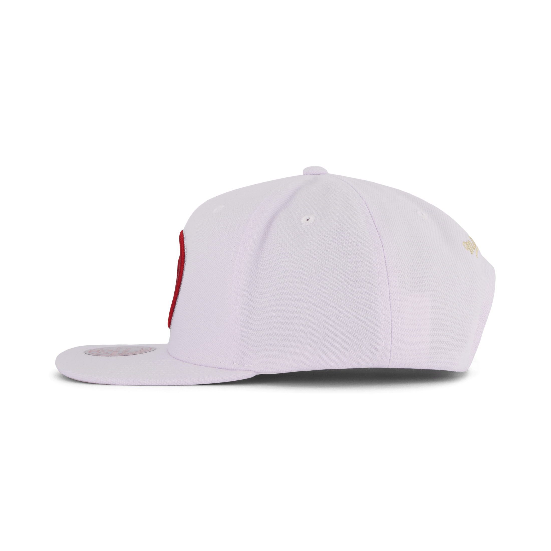 Mitchell & Ness Hawks Winter Snapback