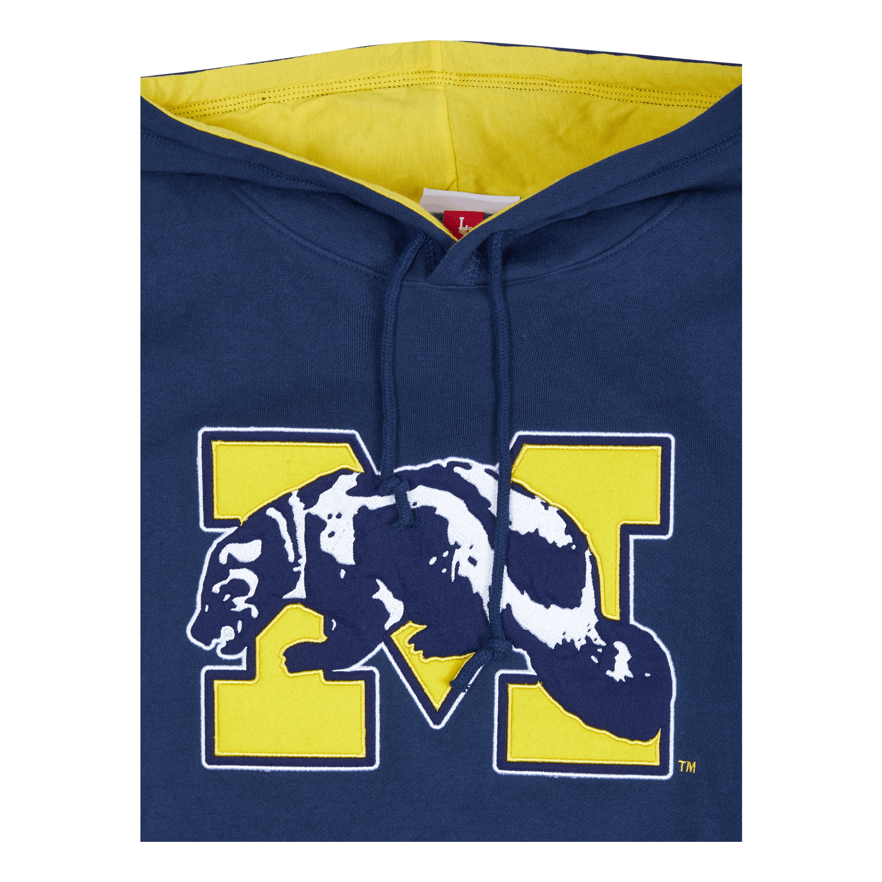 Mitchell & Ness Michigan Team Origins Fleece Hoodie