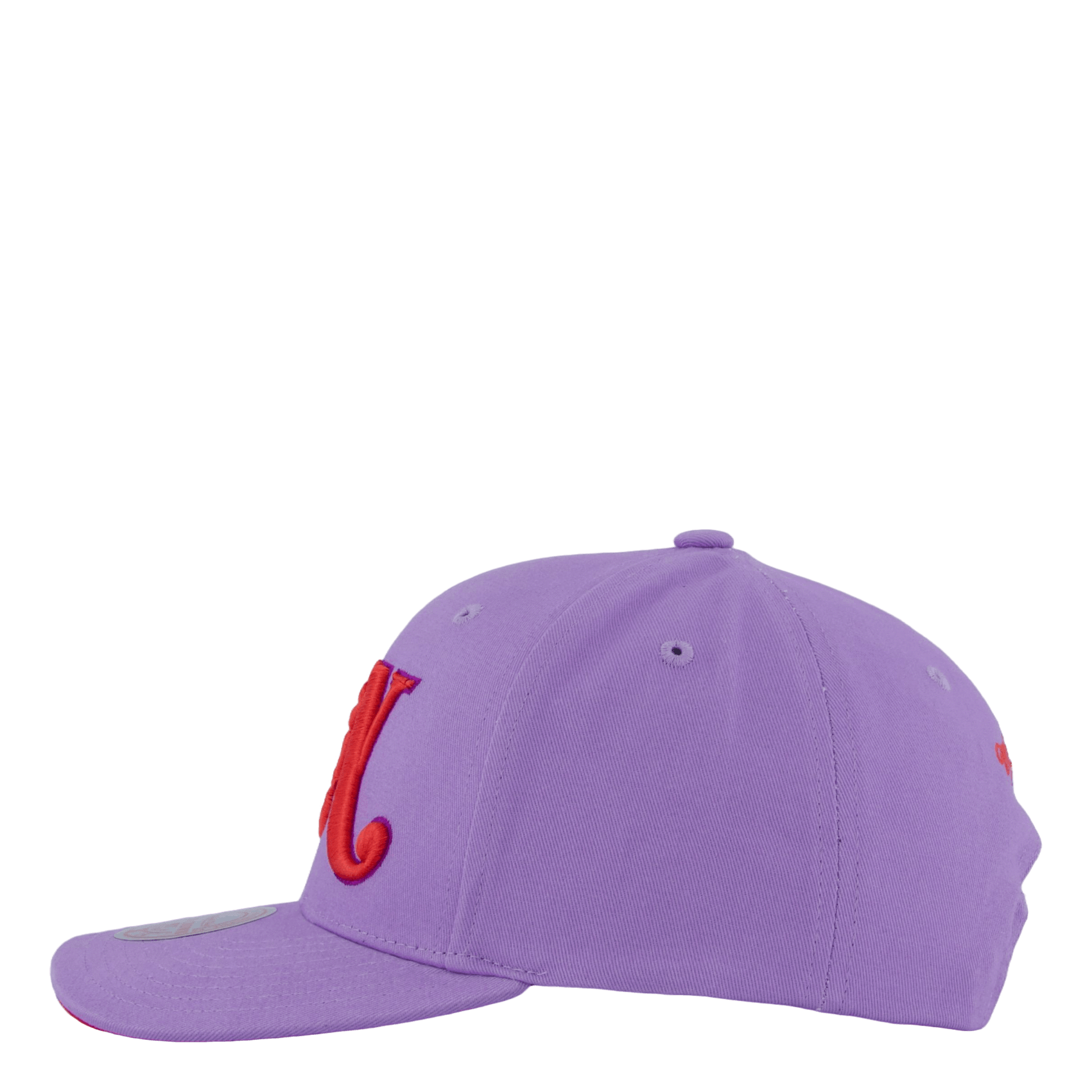 Mitchell & Ness Branded Overlay Pro Snapback
