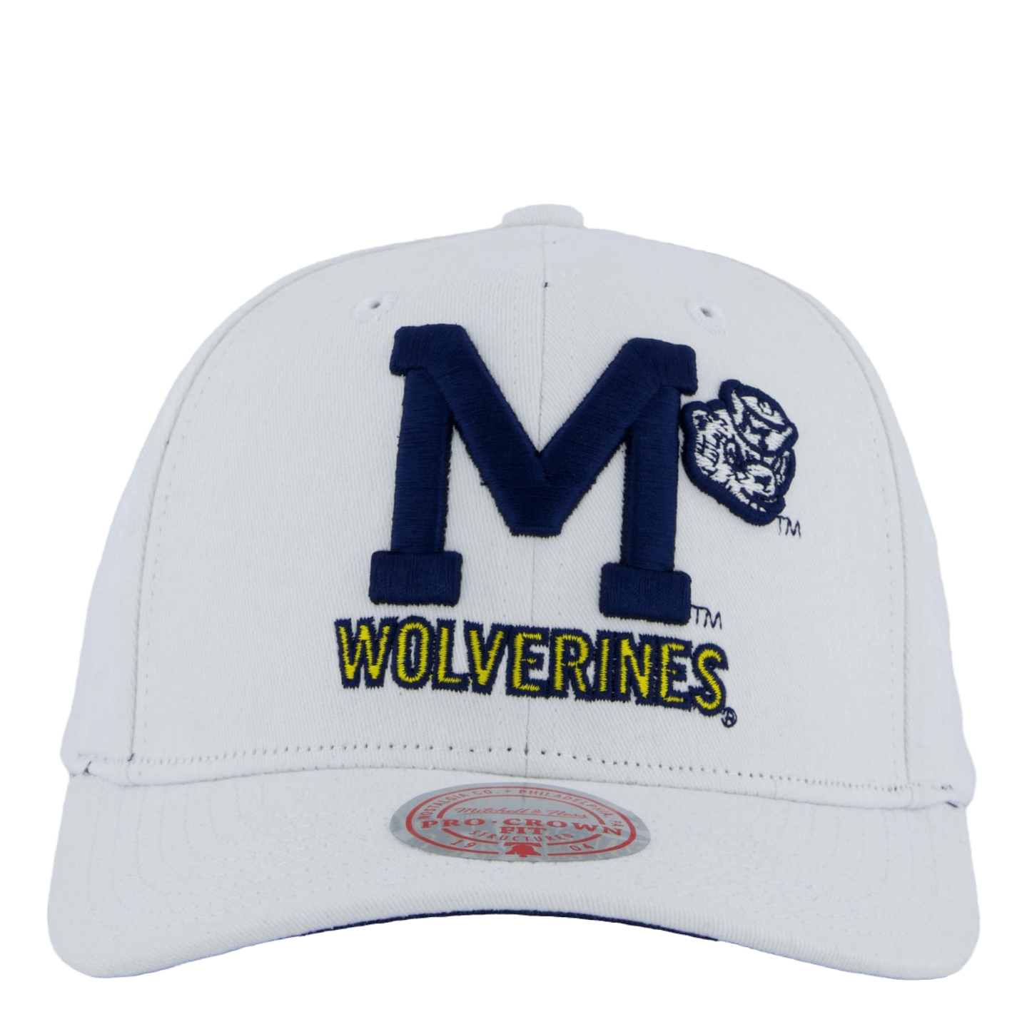 Mitchell & Ness Wolverines All In Pro Snapback