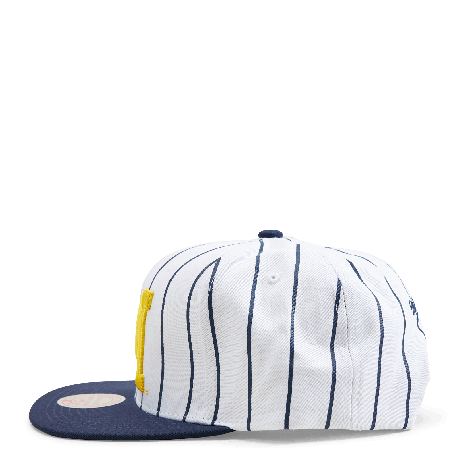 Mitchell & Ness Michigan Newco Snapback