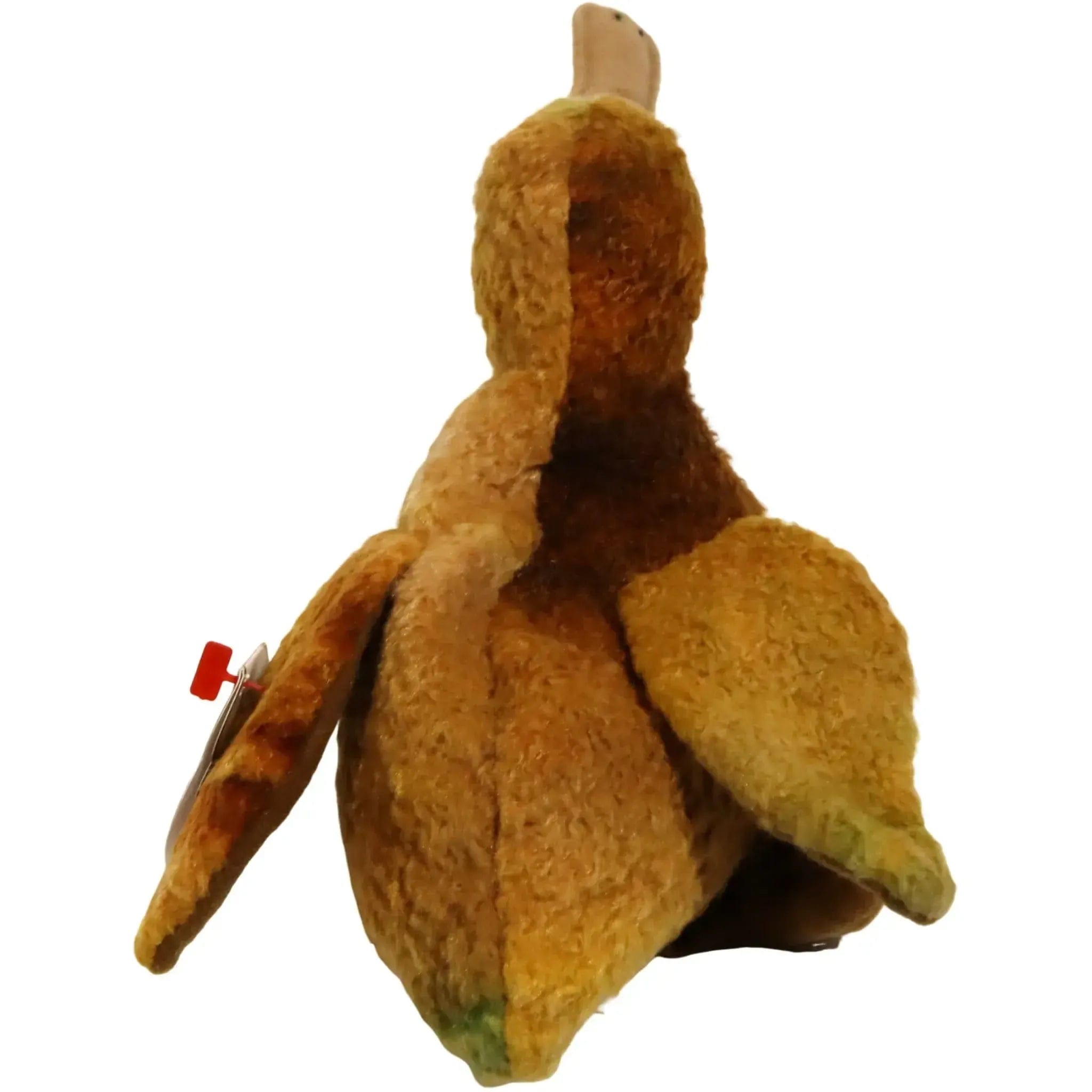 Ty Whiskers the Kiwi Bird Plush (6") - Ty - Original Beanie Babies Series (1998)