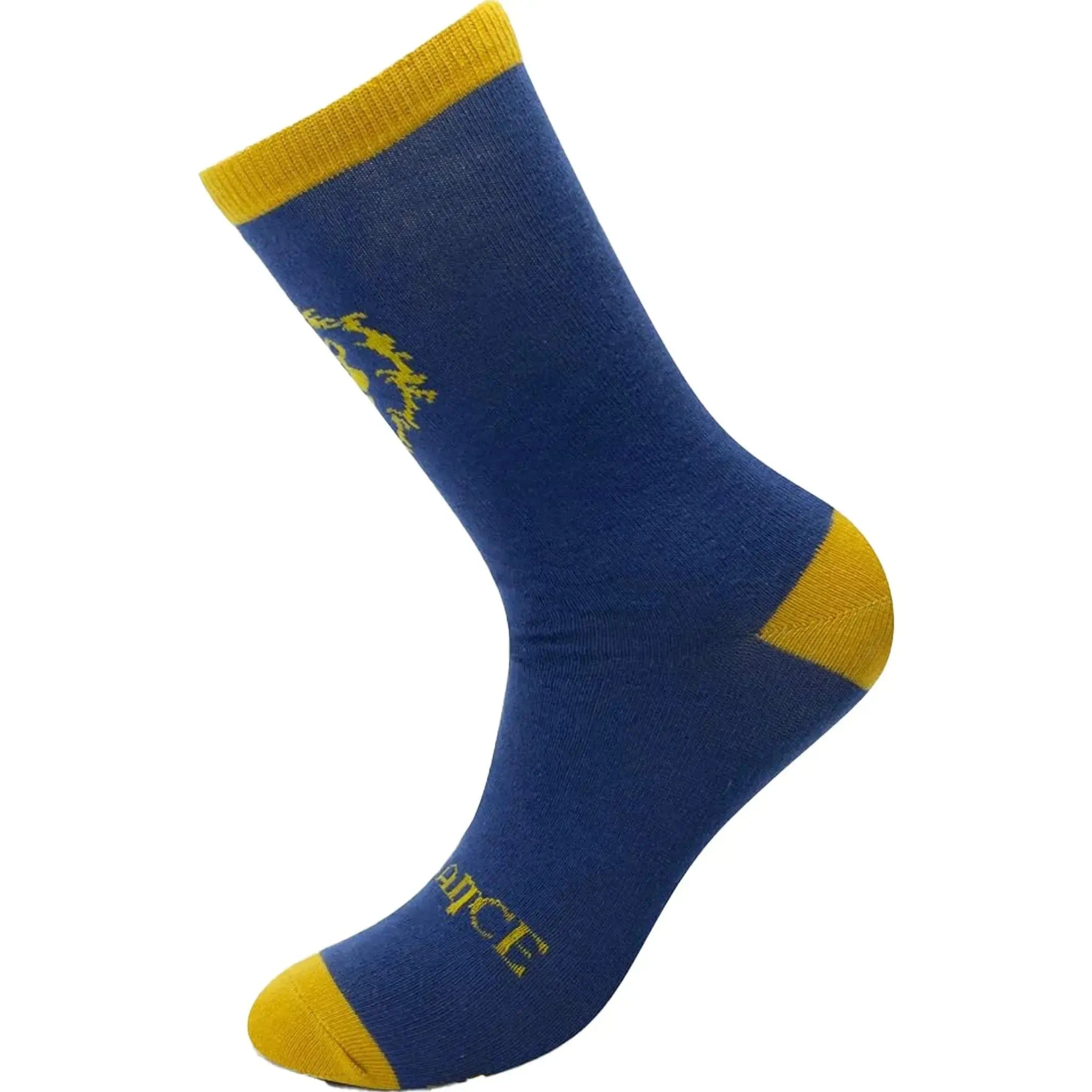 ABYstyle World of Warcraft - The Alliance Crew Socks - ABYstyle