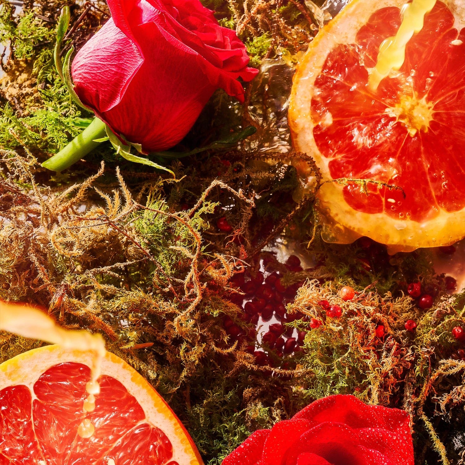 Roja Nüwa Eau de Parfum