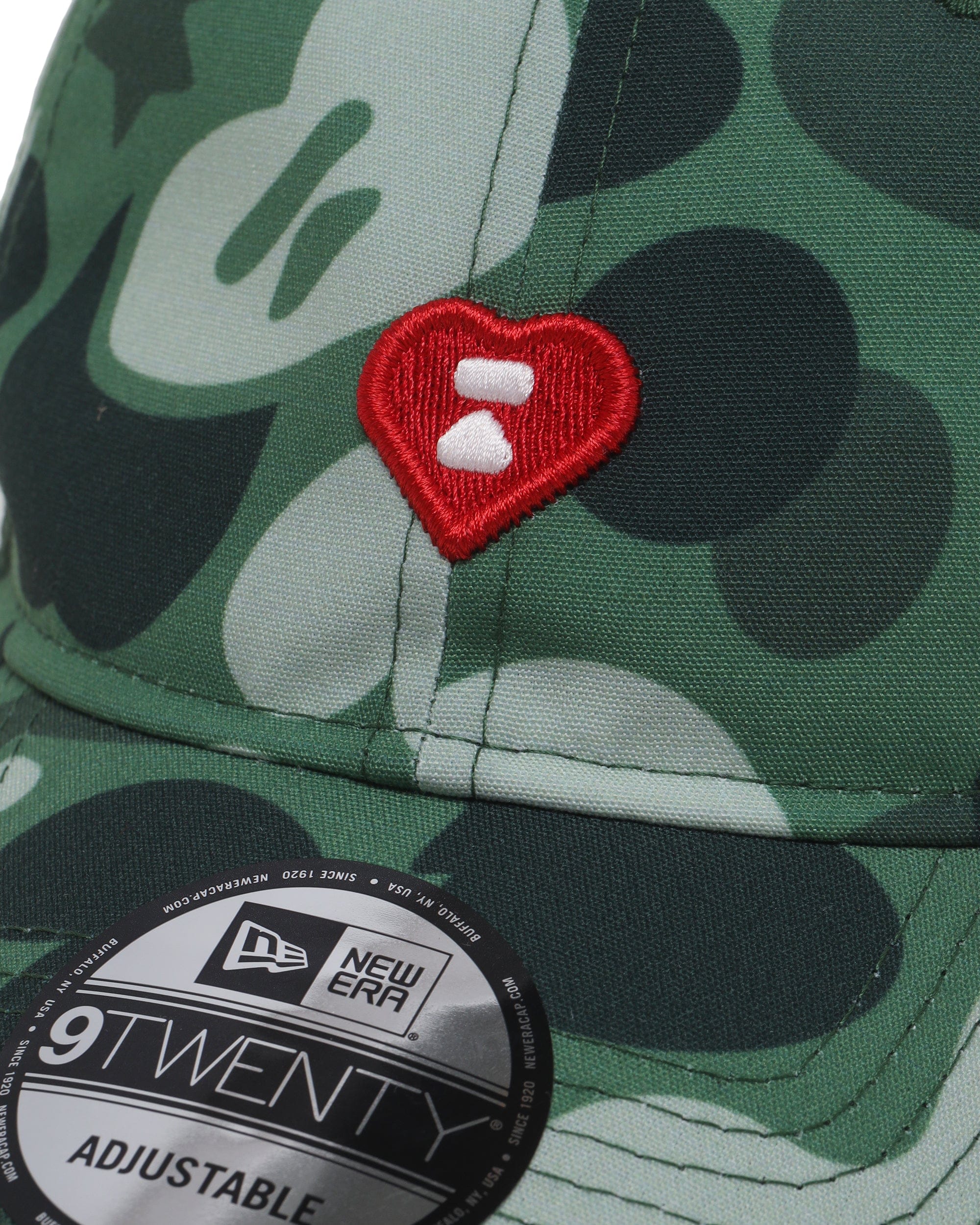 APEE Heart logo camo cap