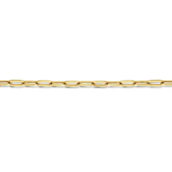 Gabriel & Co. Fashion Gabriel & Co 14K Yellow Gold 7 inch Hollow Paperclip Chain Bracelet - TB4672Y4JJJ