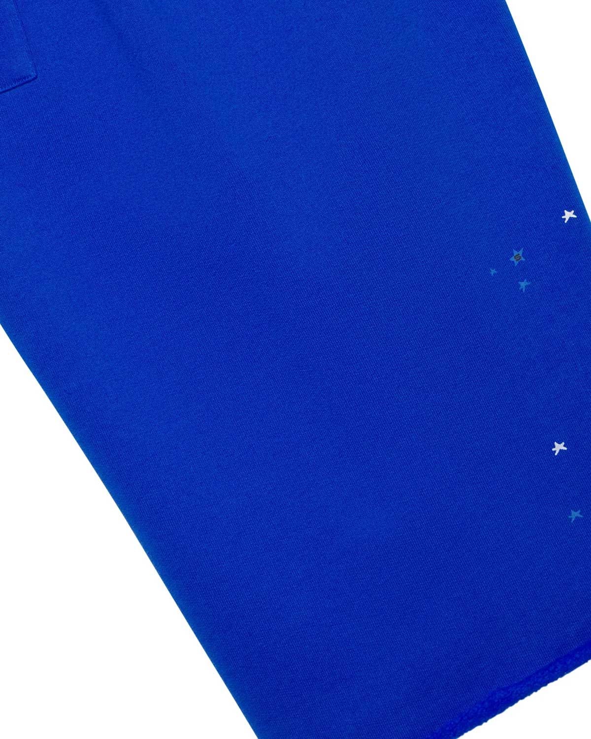 Sp5der Worldwide Sp5der Heavy Web Long Shorts Tory Blue