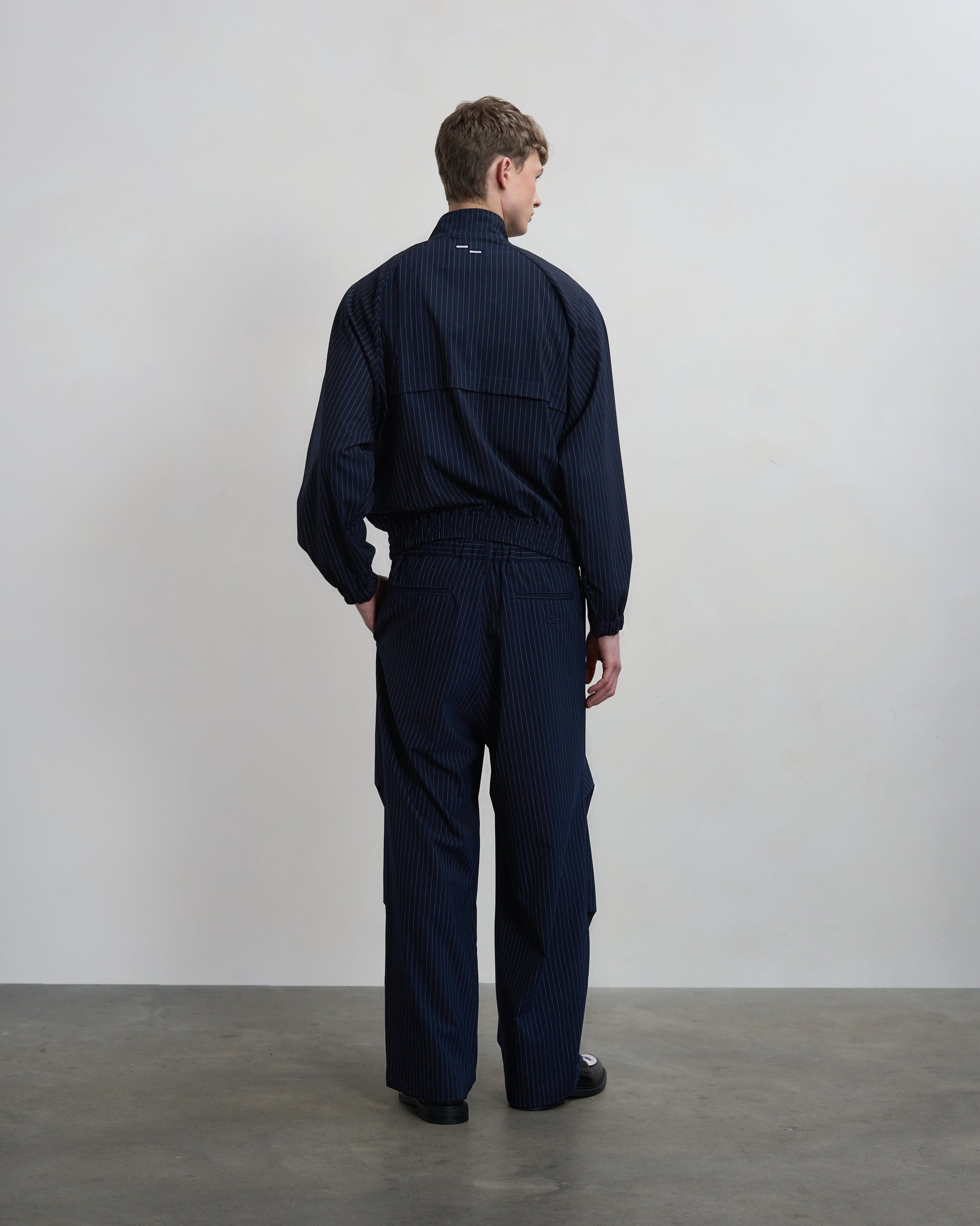 Entry Luxury Drapy Pants Pinstripe Blue