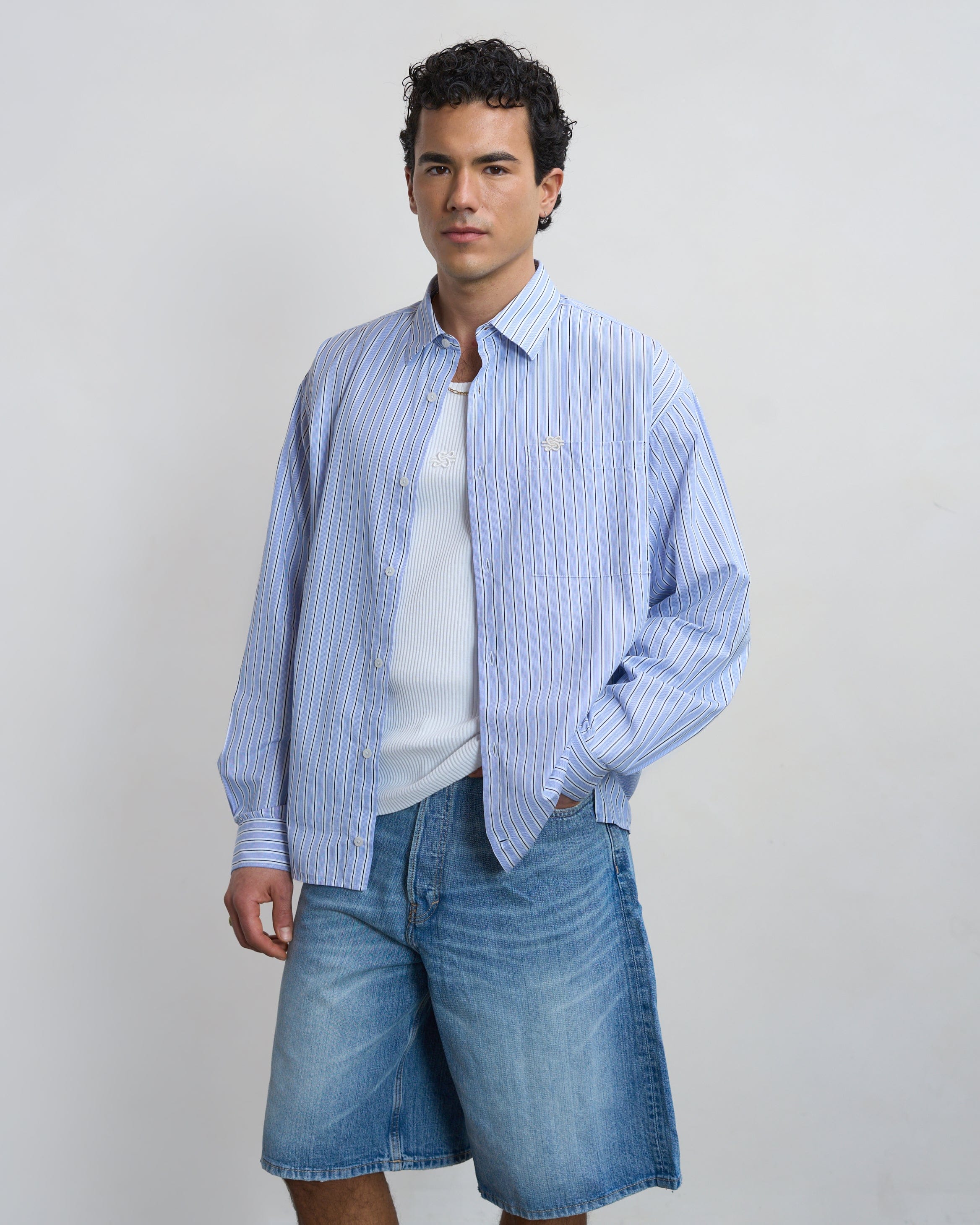Visionary Dress Shirt Striped Skyway