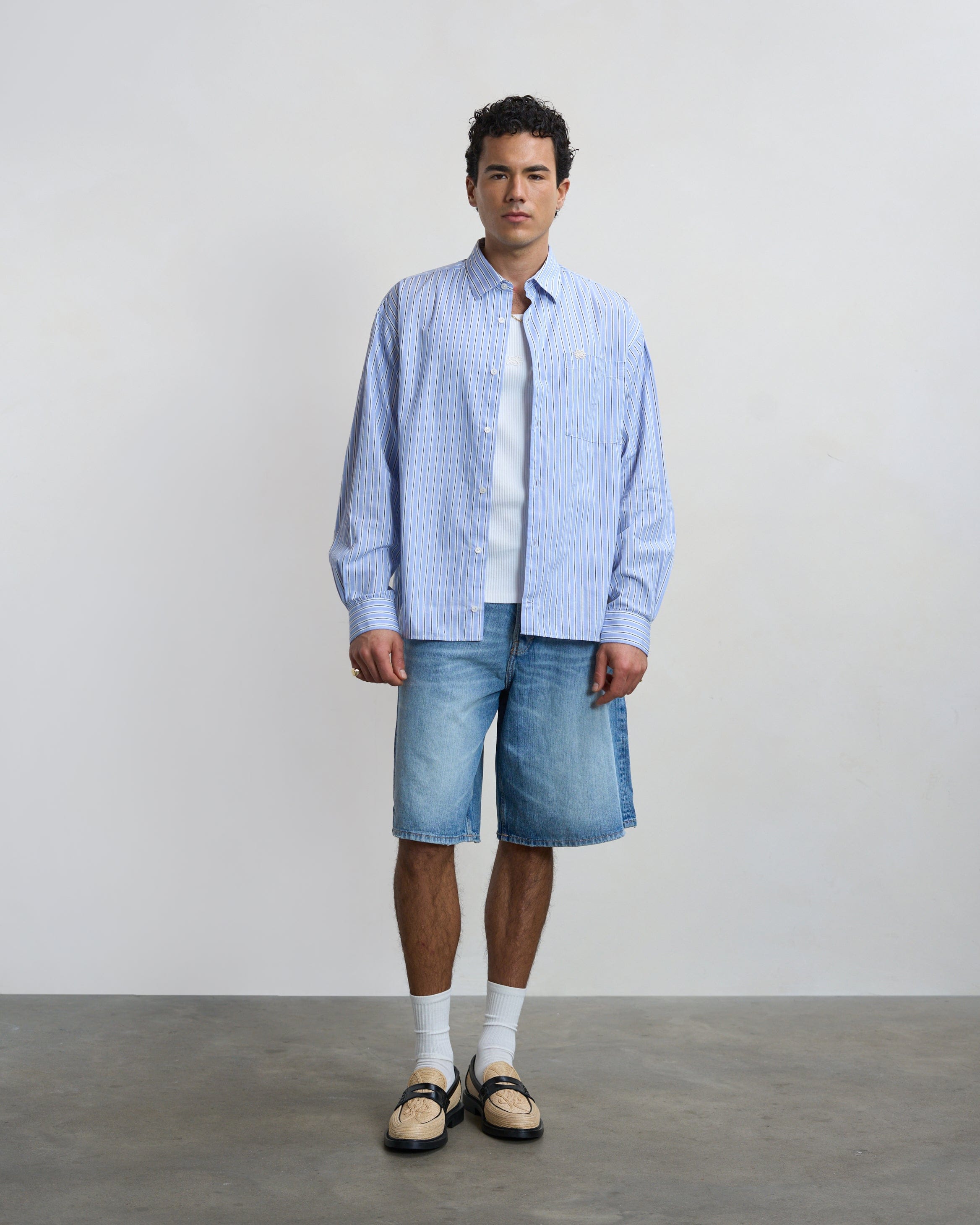 Visionary Dress Shirt Striped Skyway
