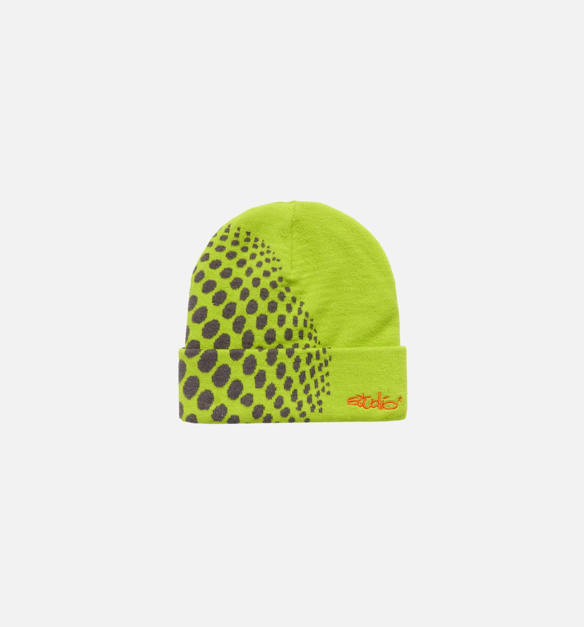SUPERVISION Studio Orbit Fold Over Mens Beanie - Green