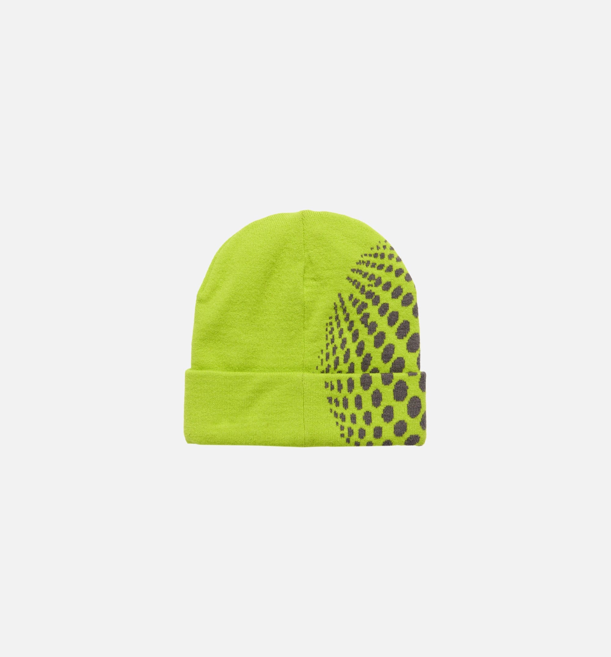 SUPERVISION Studio Orbit Fold Over Mens Beanie - Green