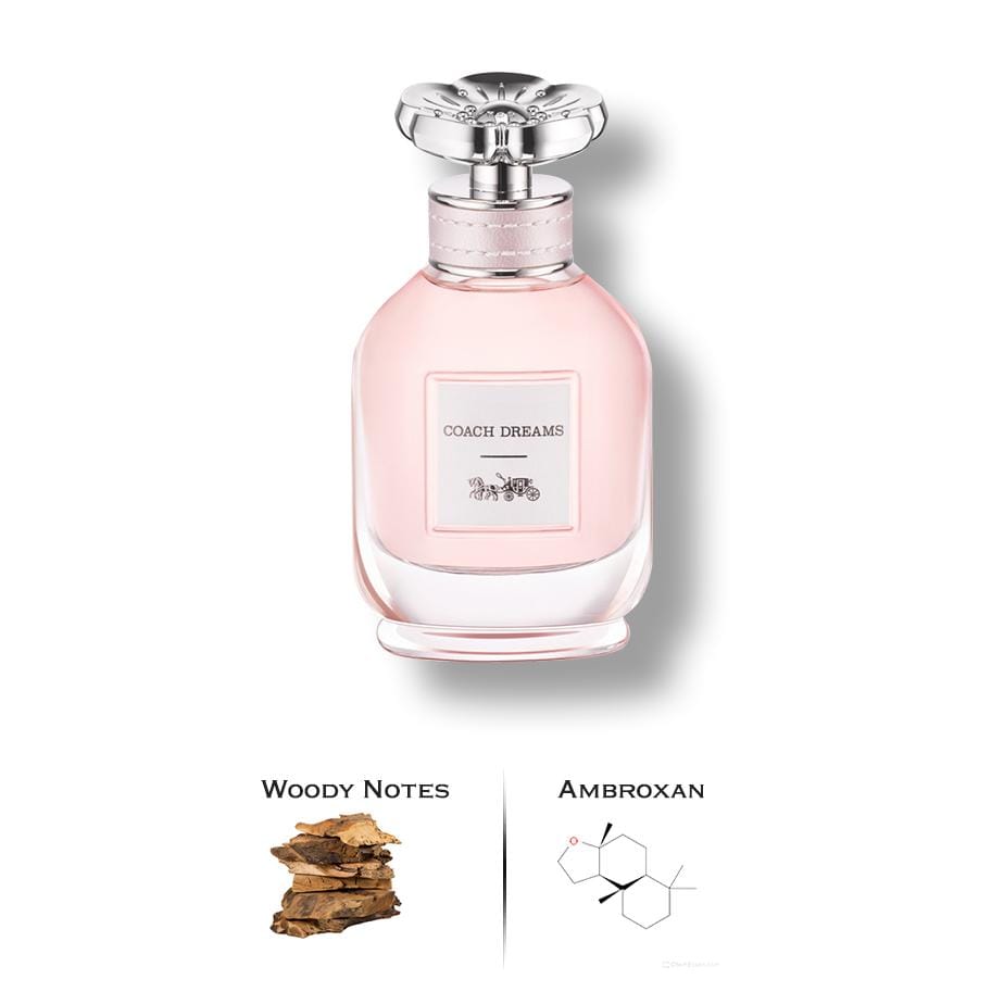 Luxury Perfumes Inc Coach Dreams Perfume By Coach