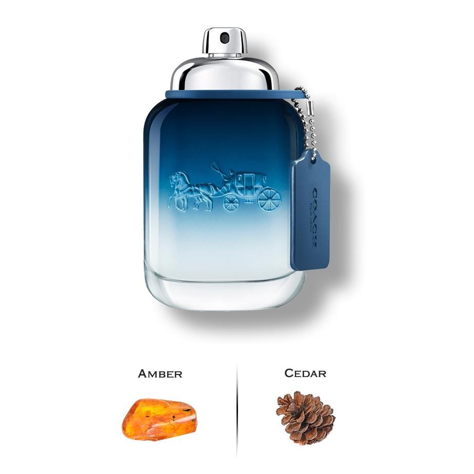 Luxury Perfumes Inc Coach Men Blue