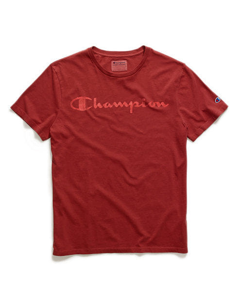 Champion Faded Big Script Logo Vintage Dye Tee