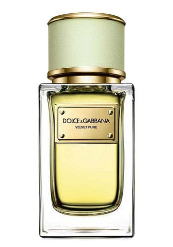 Luxury Perfumes Inc. Velvet Pure by Dolce & Gabbana