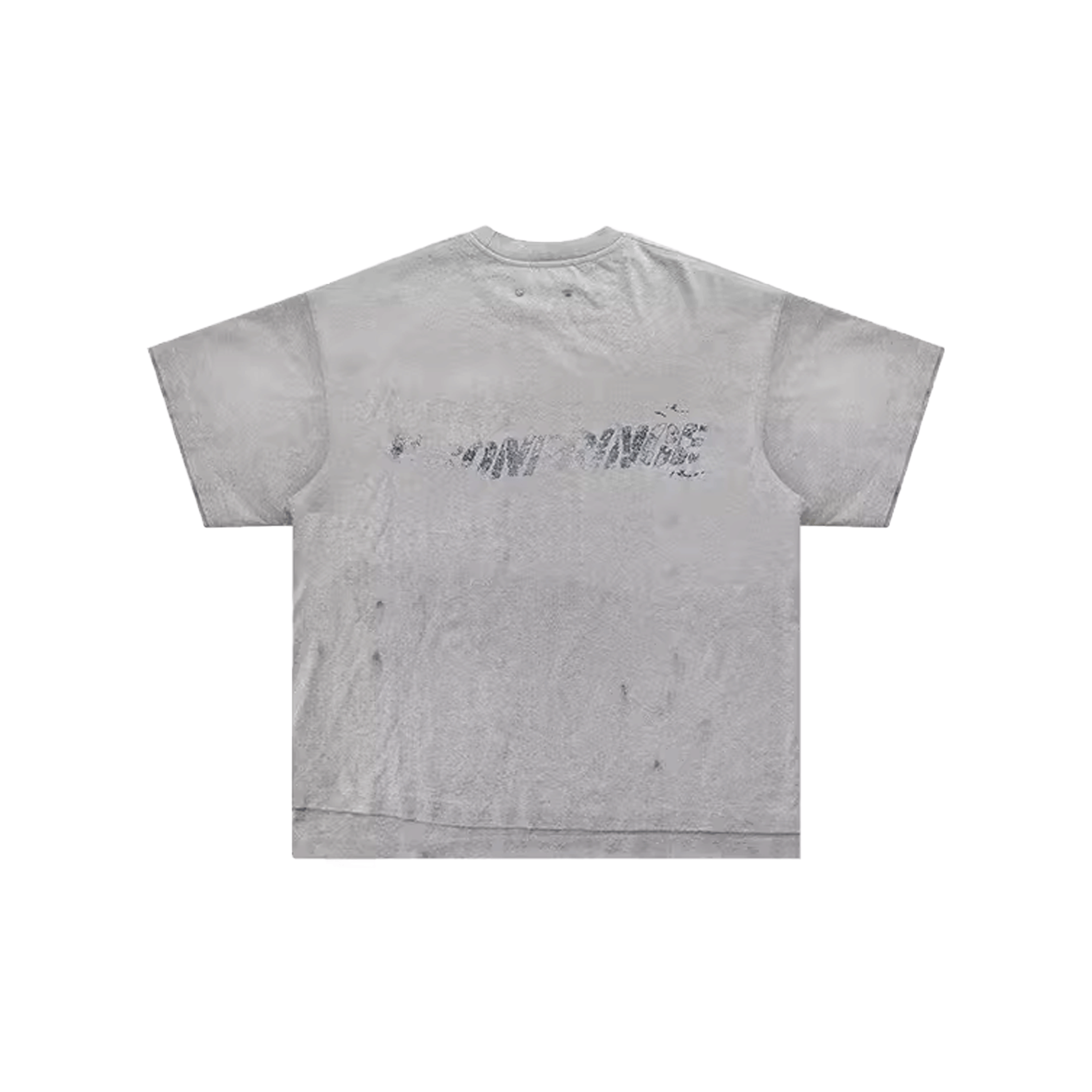 MASONPRINCE Painted Body Tee Flower Grey (SS26)
