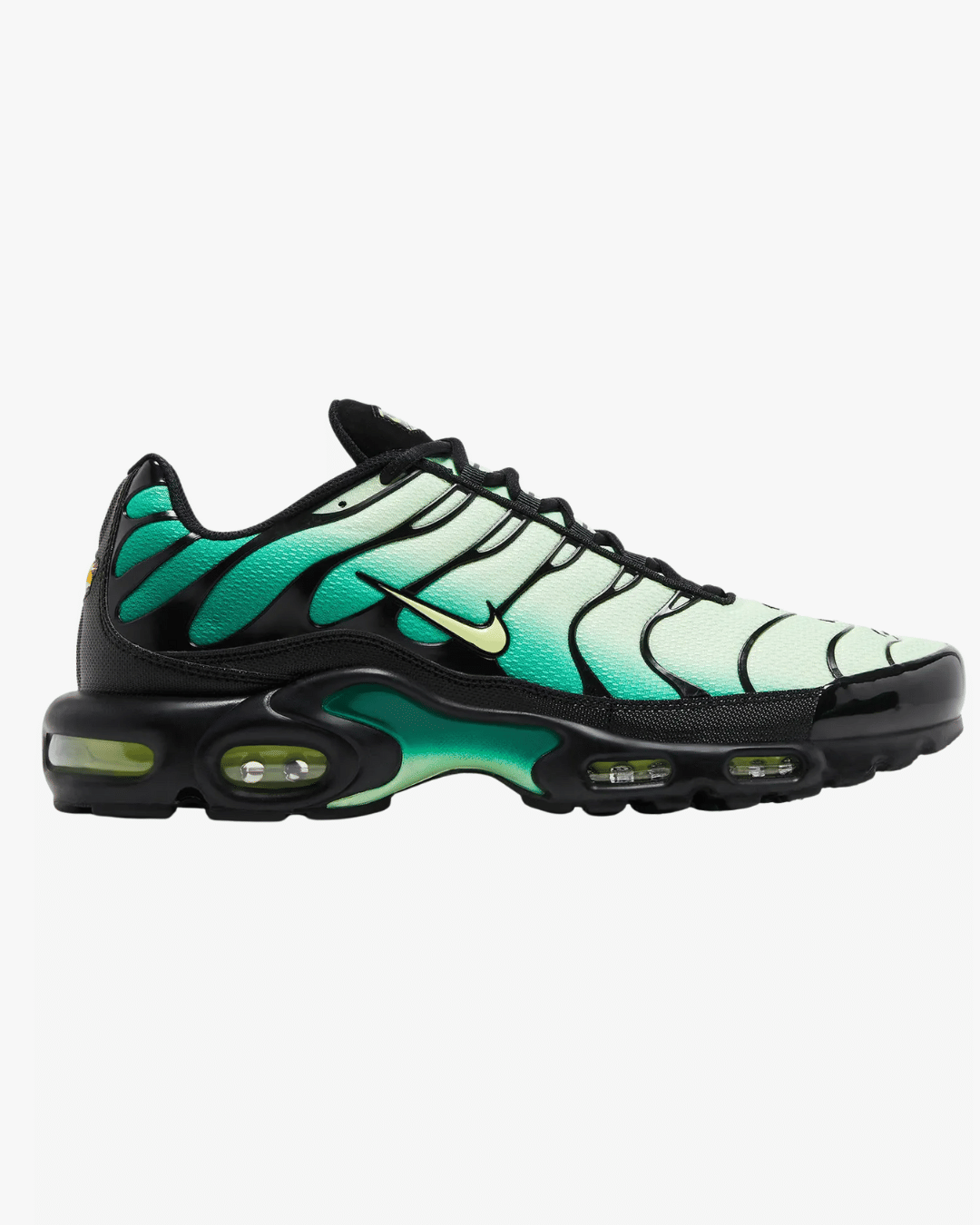 Nike Air Max Plus Vapor Green Gradient