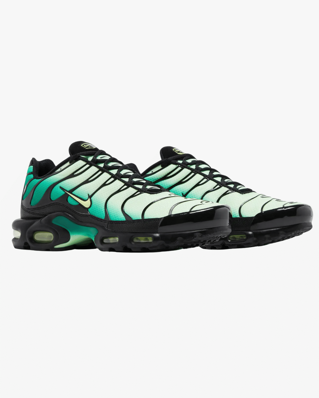 Nike Air Max Plus Vapor Green Gradient
