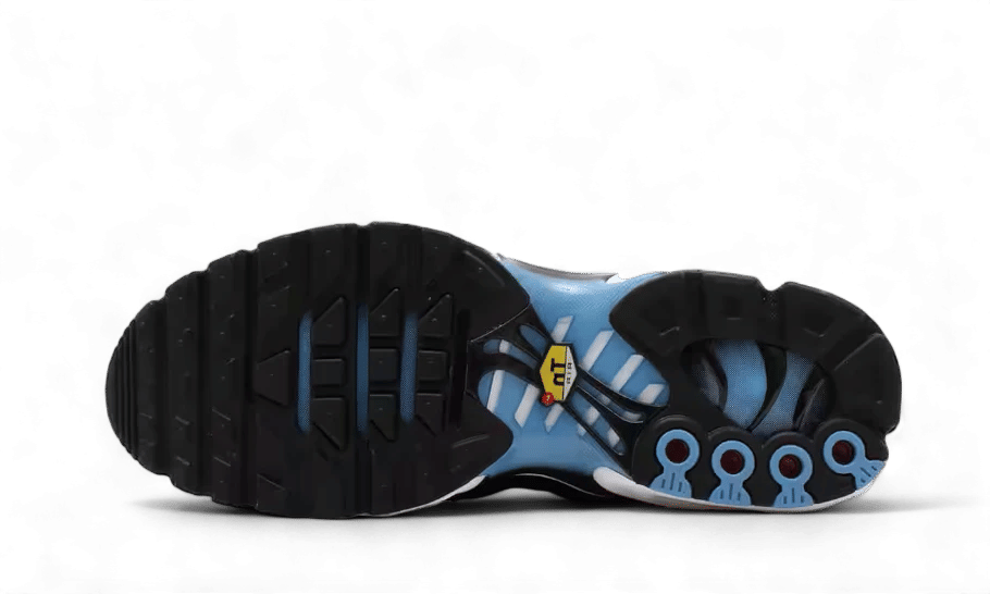 Nike Air Max Plus University Blue Light Crimson