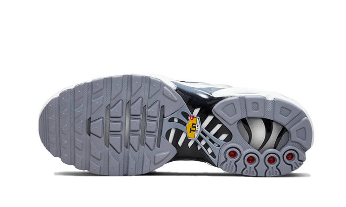 Nike Air Max Plus Sail Grey