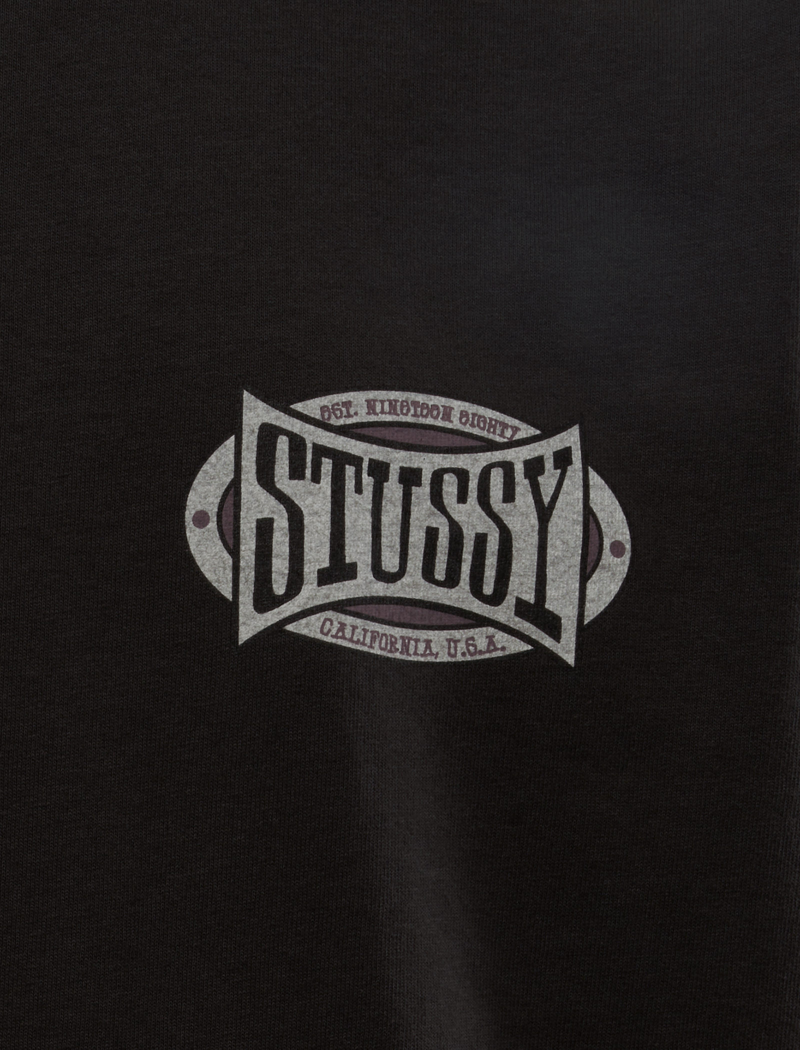 Stussy CHAMPION OVAL TEE