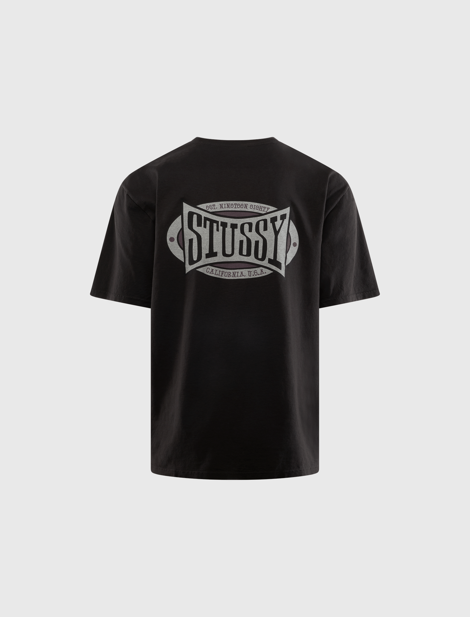 Stussy CHAMPION OVAL TEE
