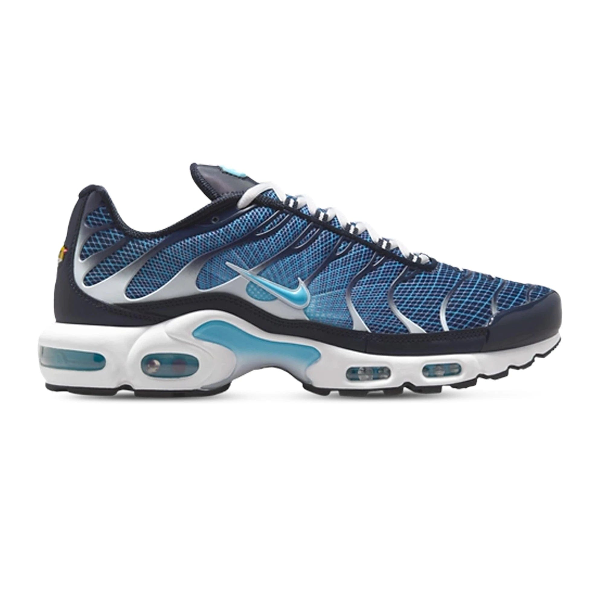Nike Air Max Plus TN 'Dark Obsidian'