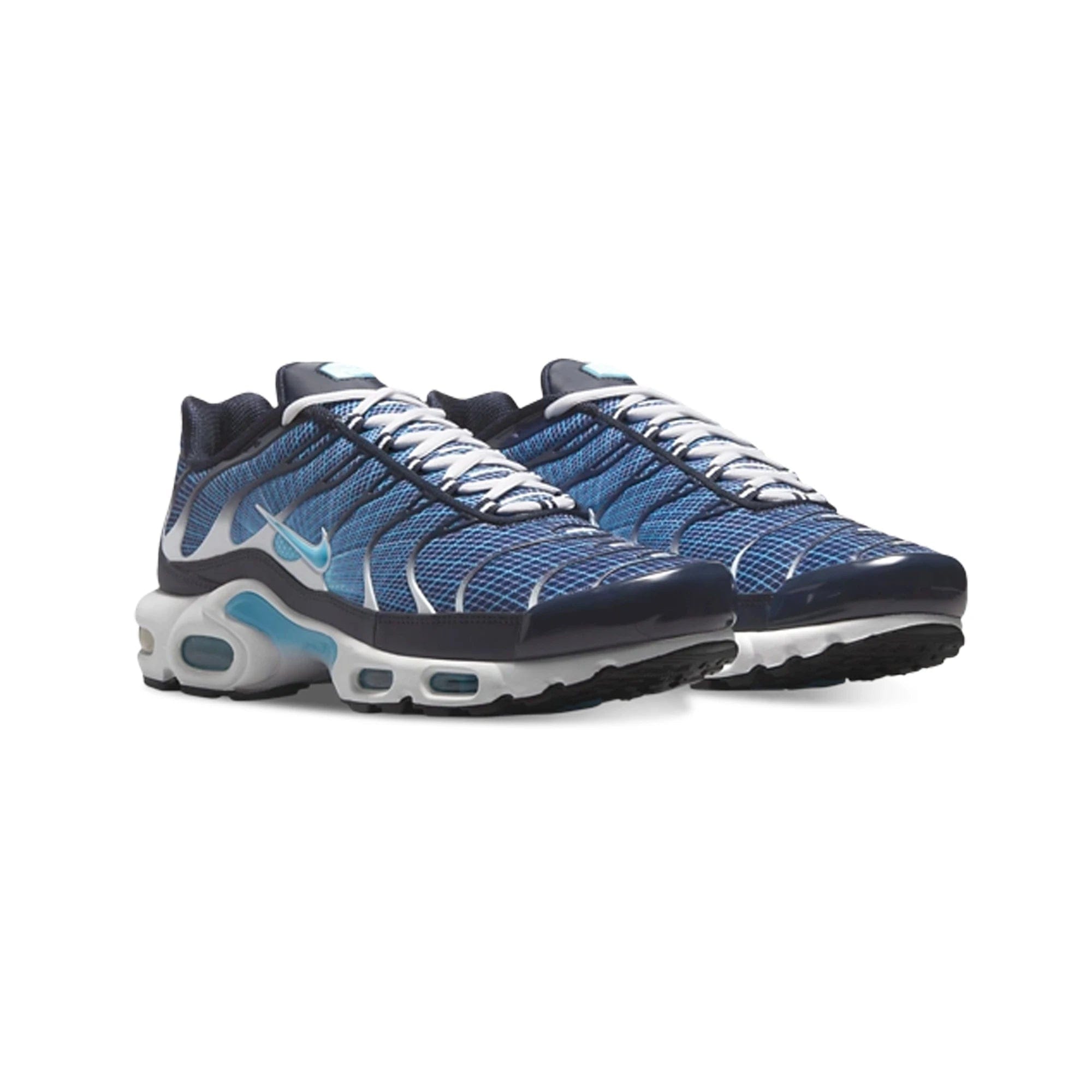 Nike Air Max Plus TN 'Dark Obsidian'