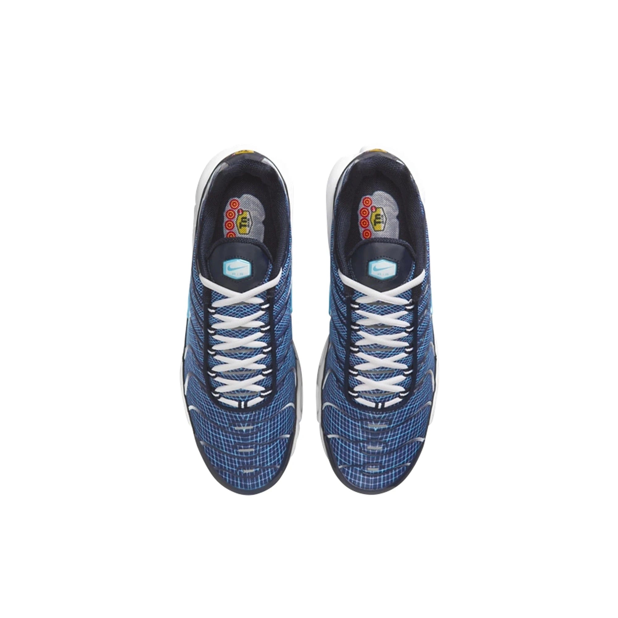 Nike Air Max Plus TN 'Dark Obsidian'