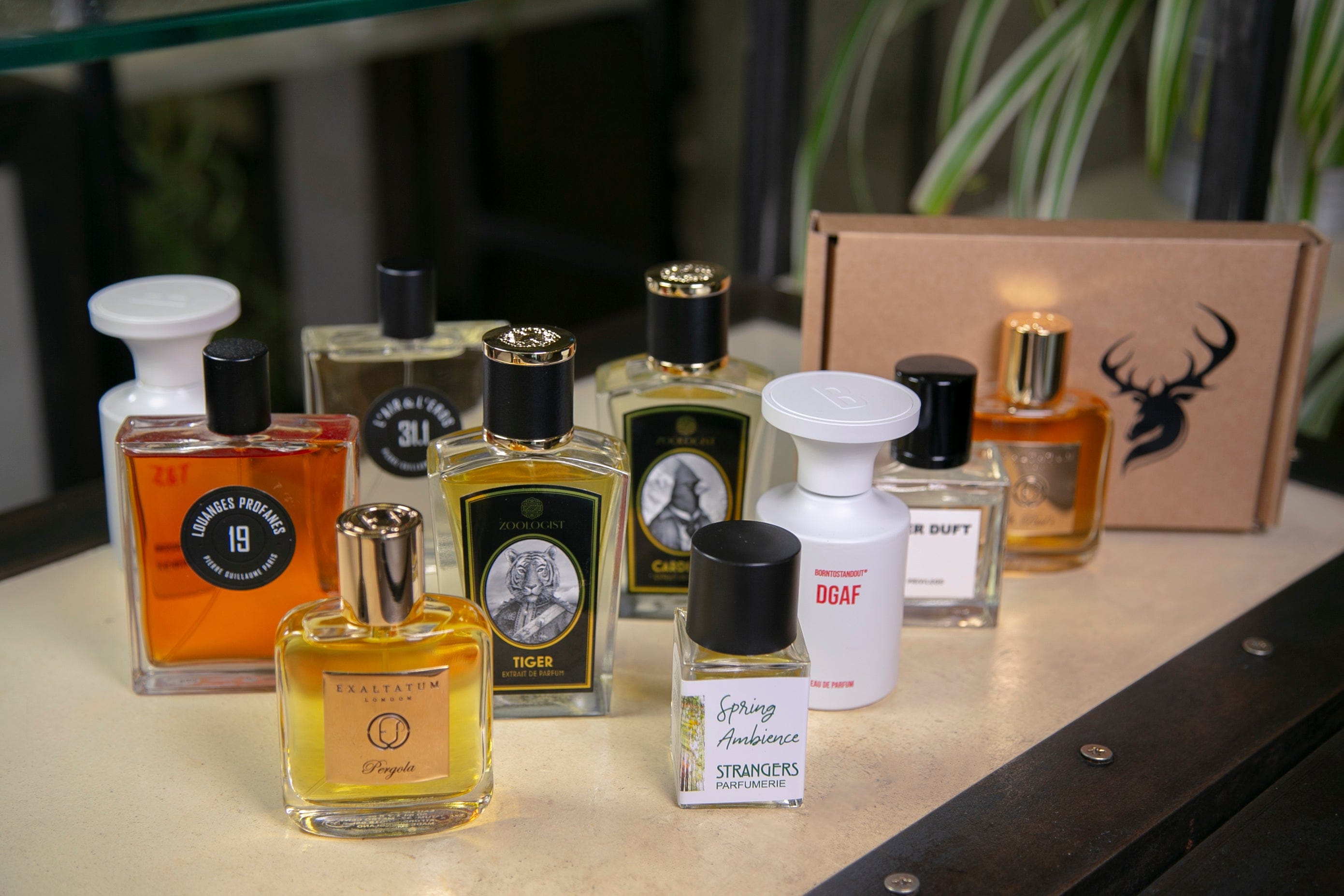 Bloom Sample Packs Ghzalh’s Spring Perfume Selection