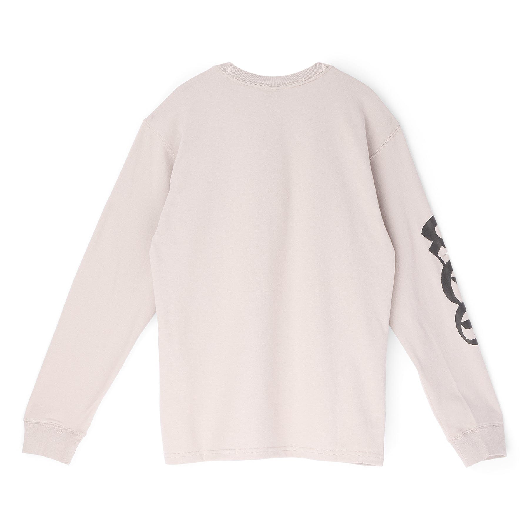 Nike ACG Dri-FIT Long-Sleeve T-Shirt (College Grey)