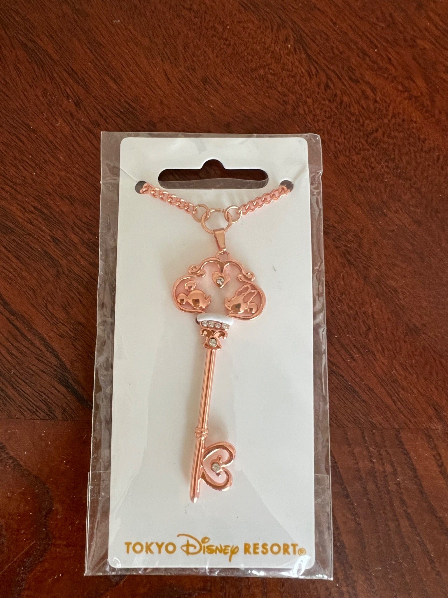 Yan888 Tokyo Disney Resort Key Chain - Tokyo Disneyland